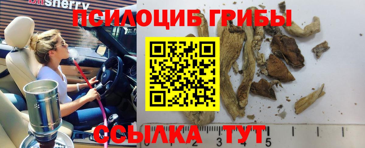 Галлюциногенные грибы MAGIC MUSHROOMS  Вход с VPN  Великий Устюг  Галлюциногенные грибы прущие грибы 
