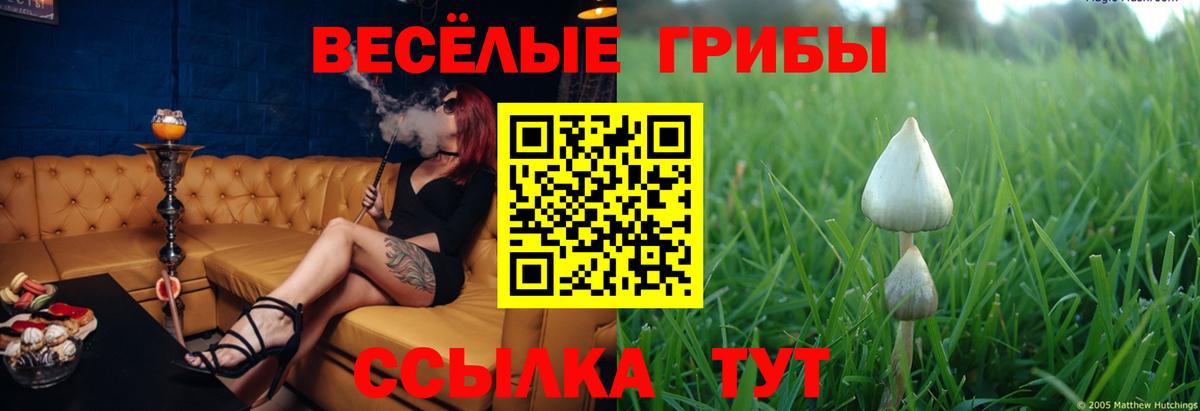 Галлюциногенные грибы GOLDEN TEACHER Великий Устюг